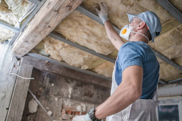 Best Cellulose Insulation in Bloomfield, IN
